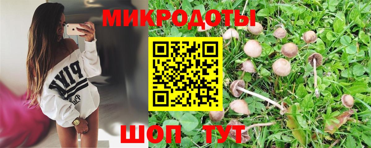 Псилоцибиновые грибы MAGIC MUSHROOMS  Вход с VPN  Псилоцибиновые грибы мухоморы  Кимры 