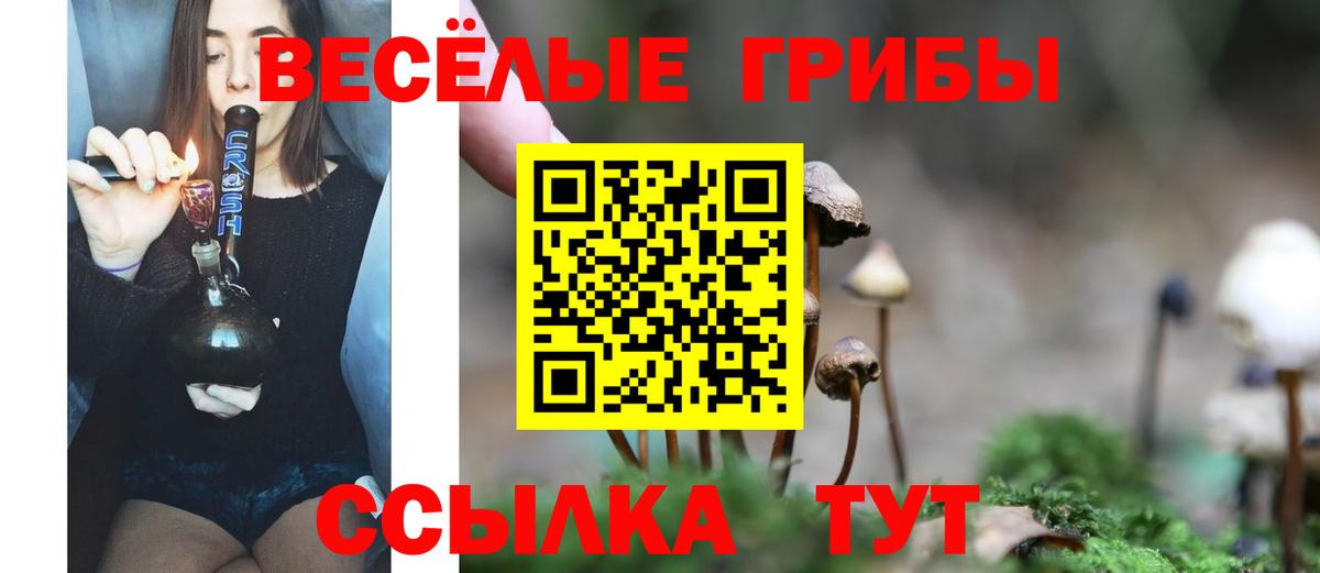 Галлюциногенные грибы Psilocybe Кимры